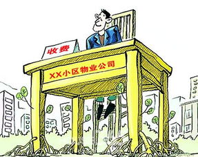 合肥物管新规元旦起实行 前期物业竞聘更规范