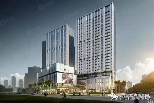 为何被众说纷纭 深圳 为何这么火爆 专业人士是这样说的