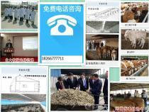 【来宾市小牛犊价格2014年牛价格走势】3-12月龄牛羊,价格,报价,种类、品牌,厂家,供应商,马鞍山百分物业管理 - 产品库 - 阿土伯交易网手机版